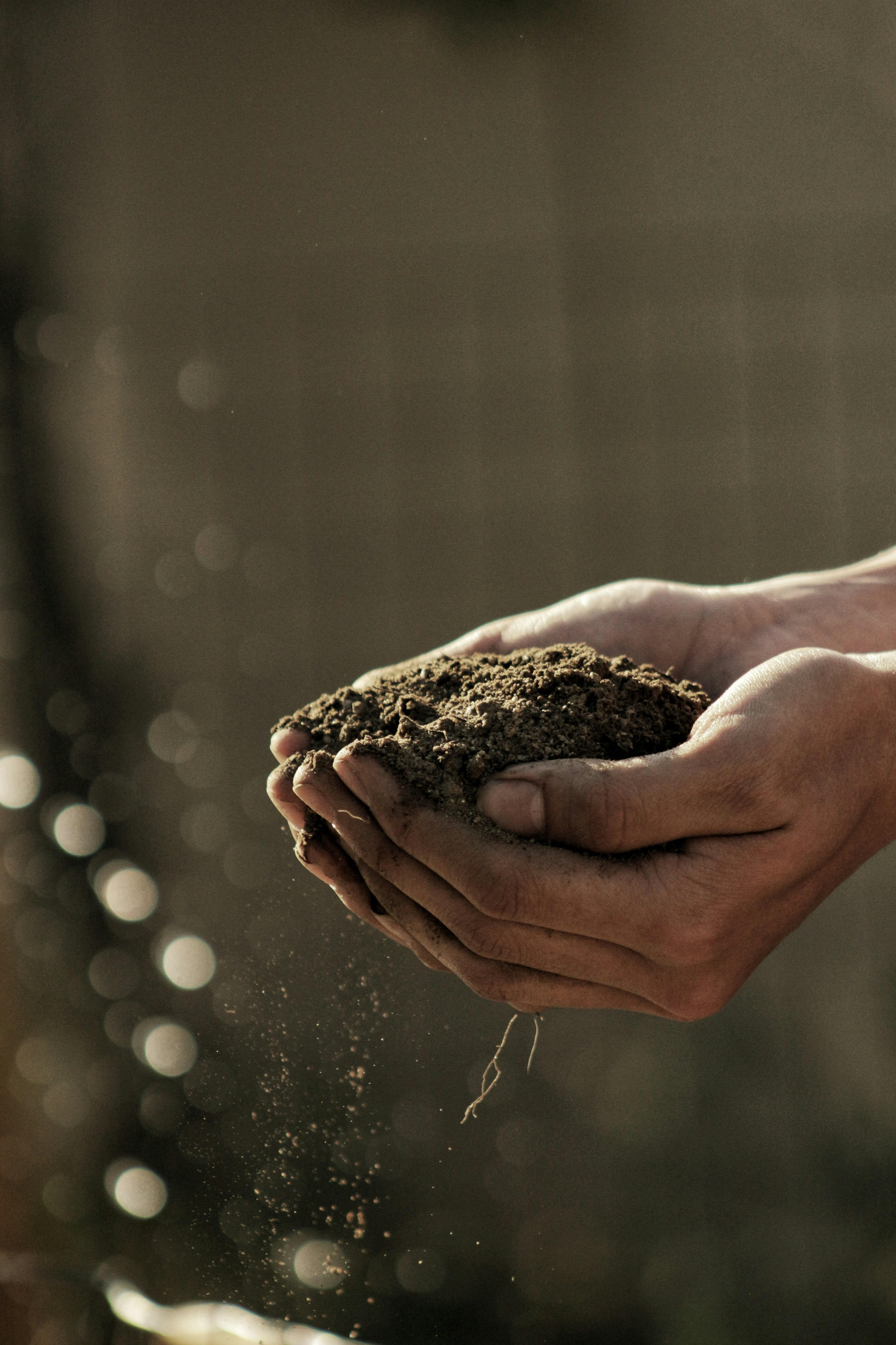 Soil Classification