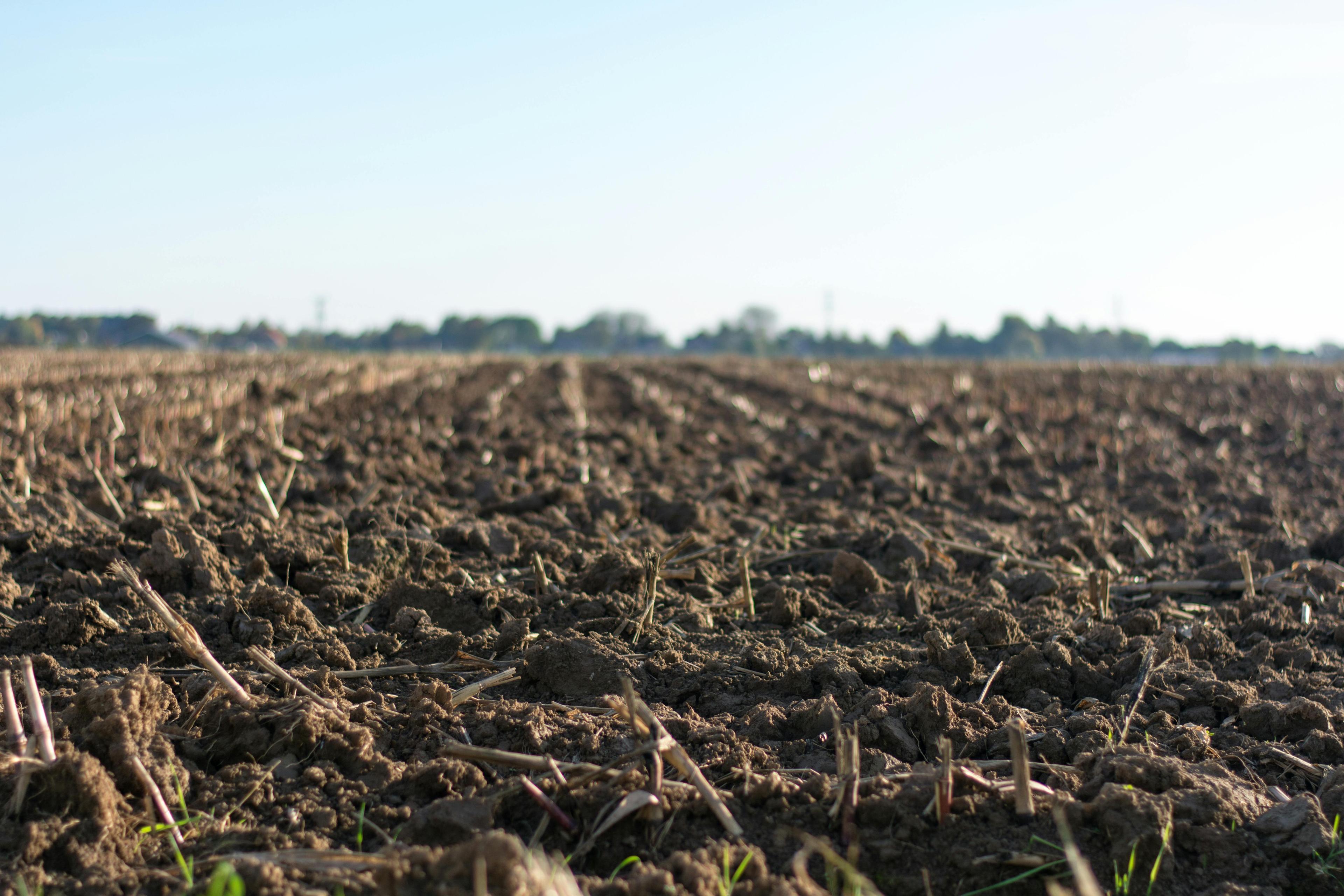 Different soil types
